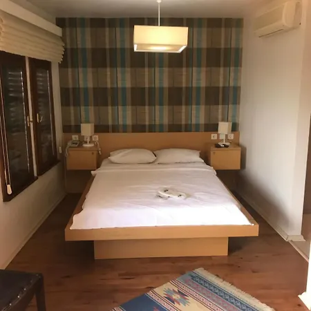 ホテル Apollon ボズカーダ