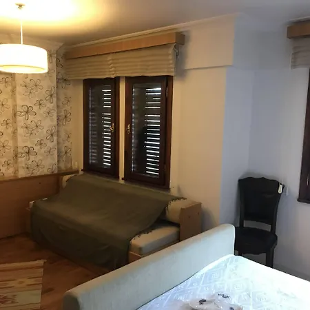 ホテル Apollon ボズカーダ